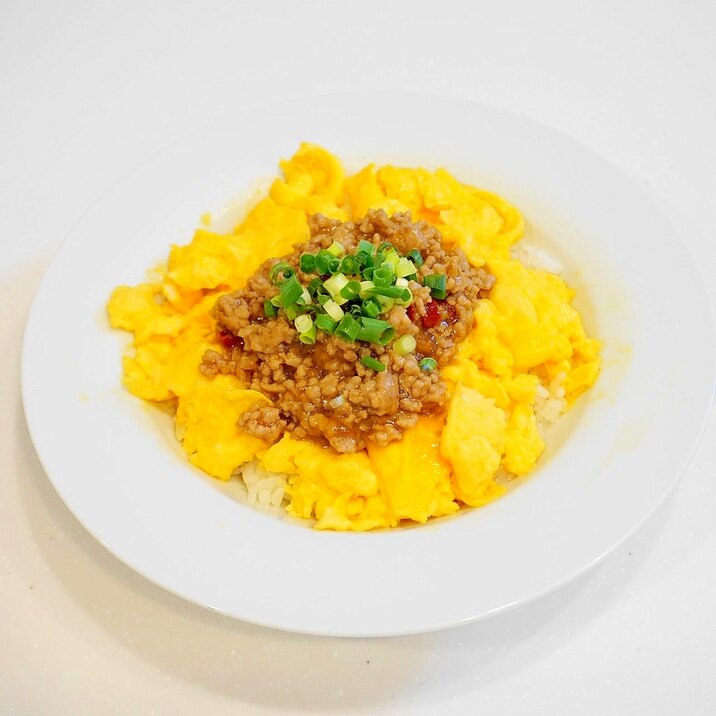 お安く出来て~圧倒的満足感!卵とひき肉のあんかけ丼